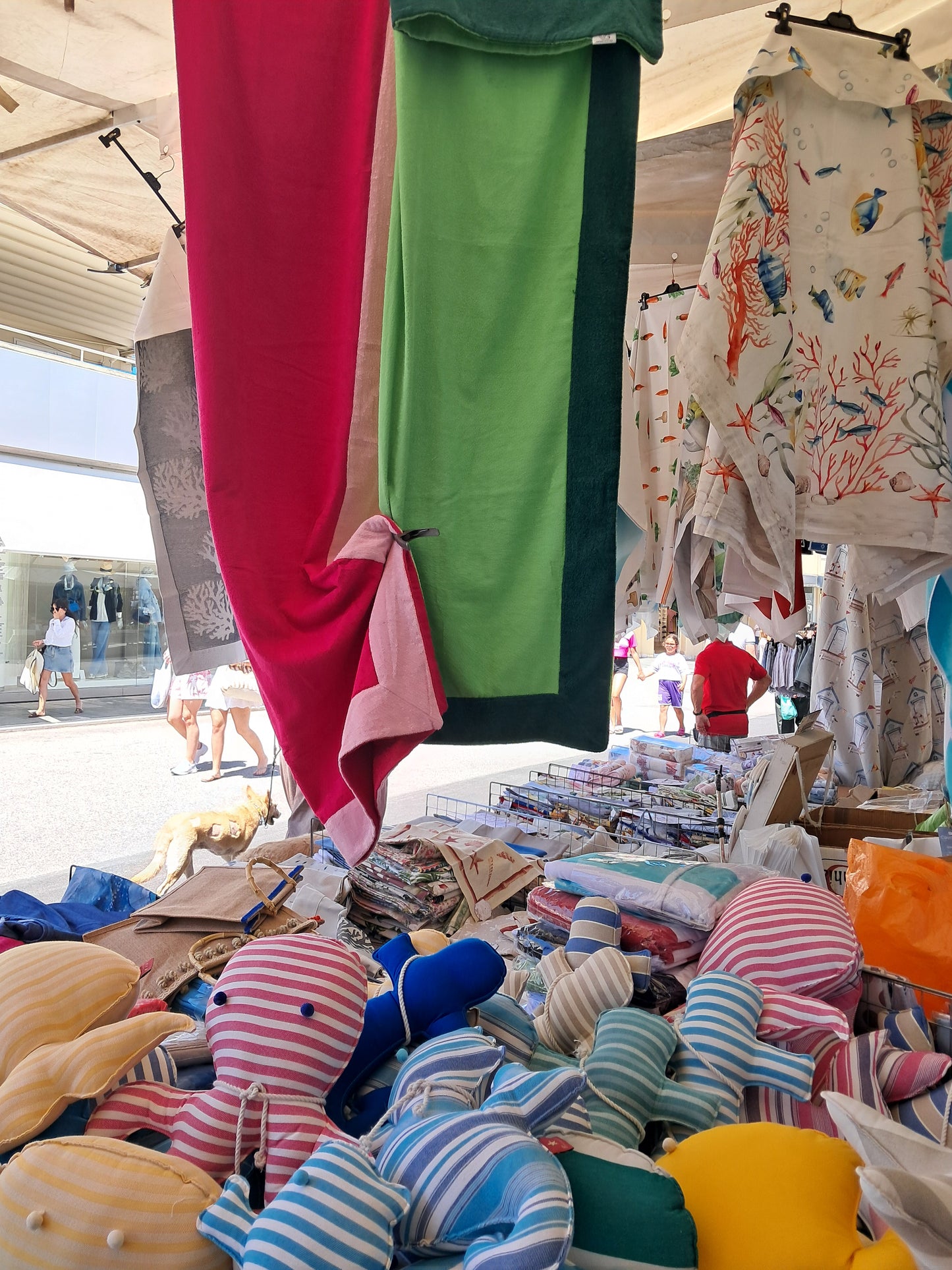 Telo mare Versilia